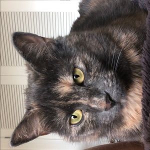 Meet your Posher, Elyse